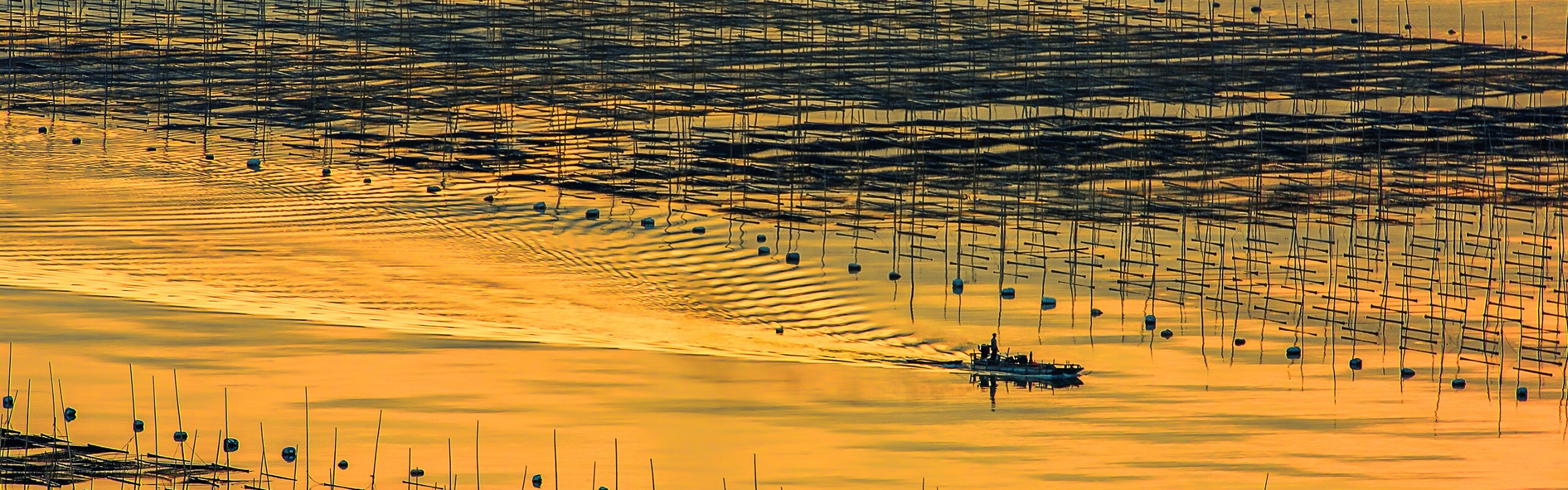 9-Day Yongding Hakka Village and Xiapu Mudflat Tour