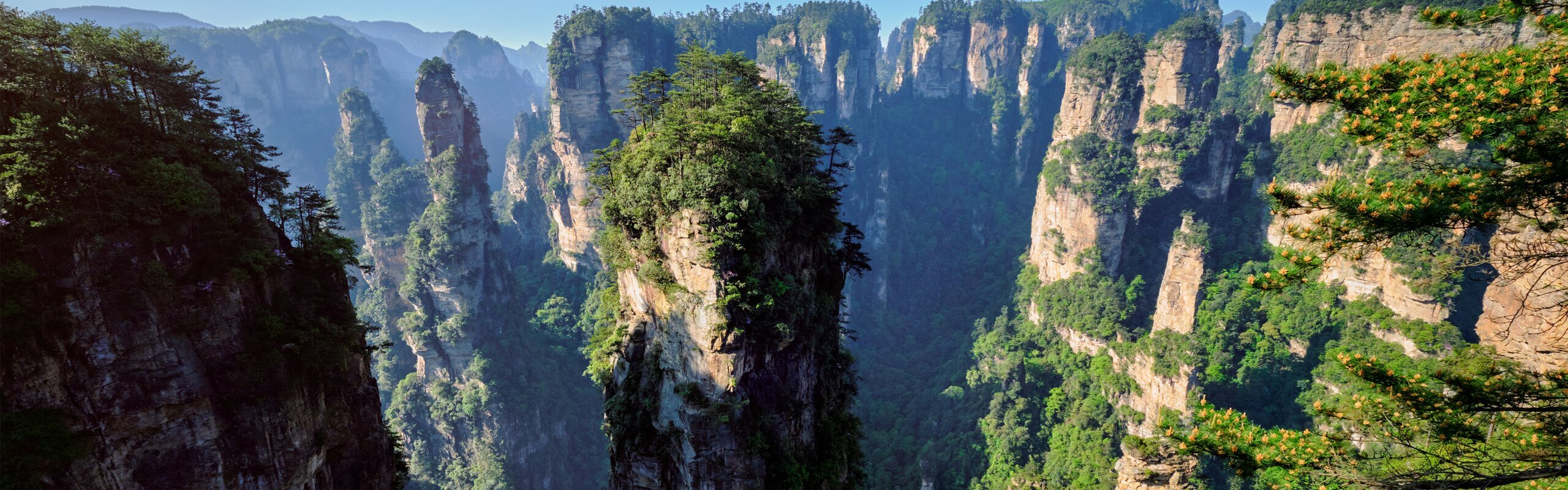 1-Day Zhangjiajie National Forest Park Tour