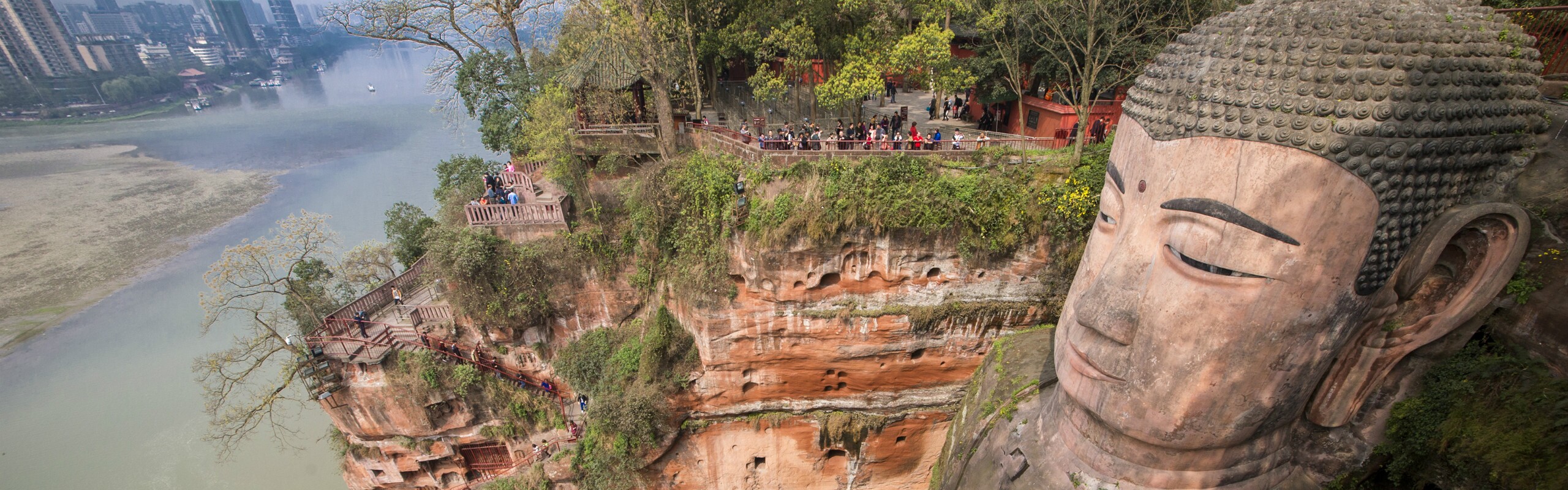 3-Day Giant Panda and Giant Buddha Tour