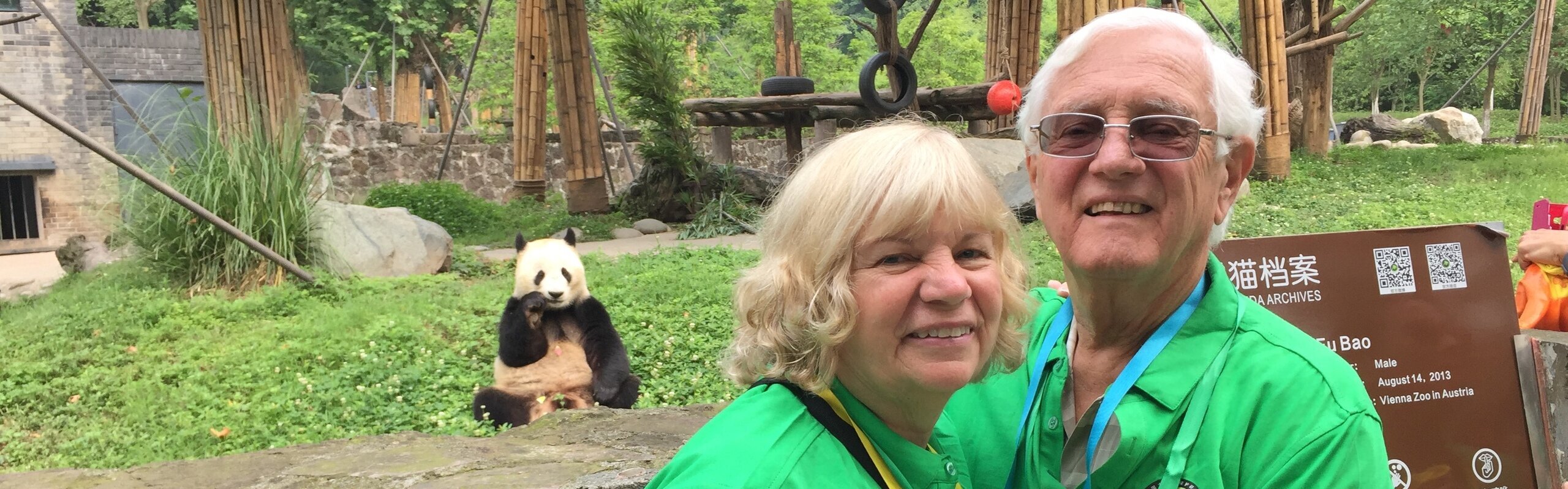 One-Day Dujiangyan Panda Volunteer Program Tour