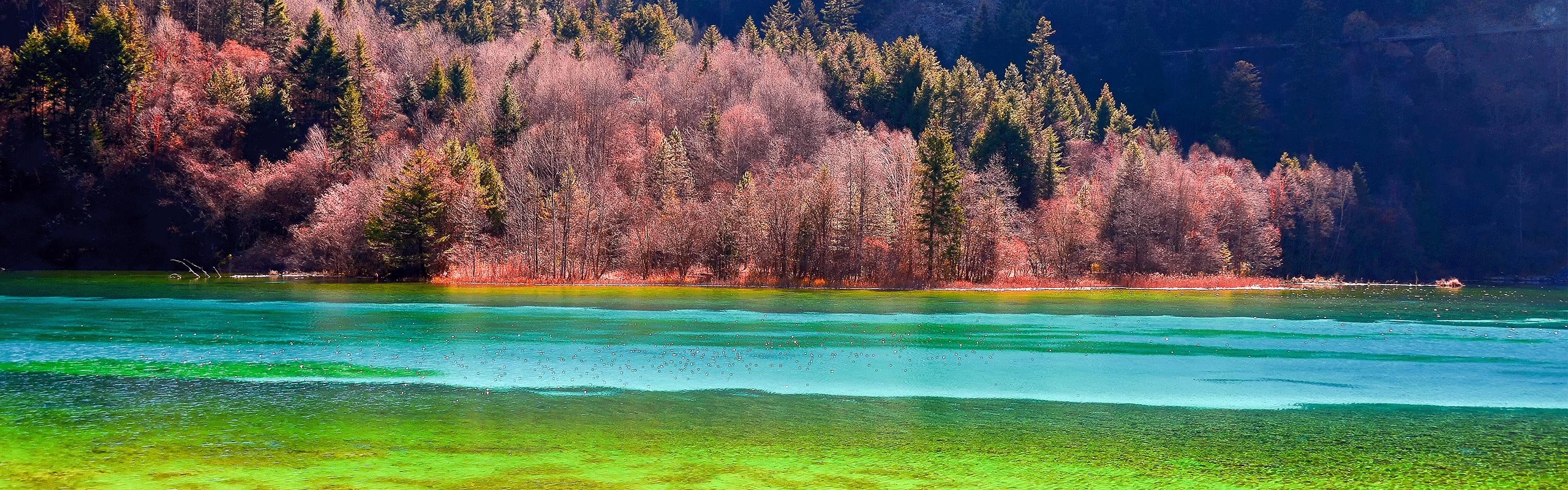 6-Day Essential Chengdu and In-Depth Jiuzhaigou Tour