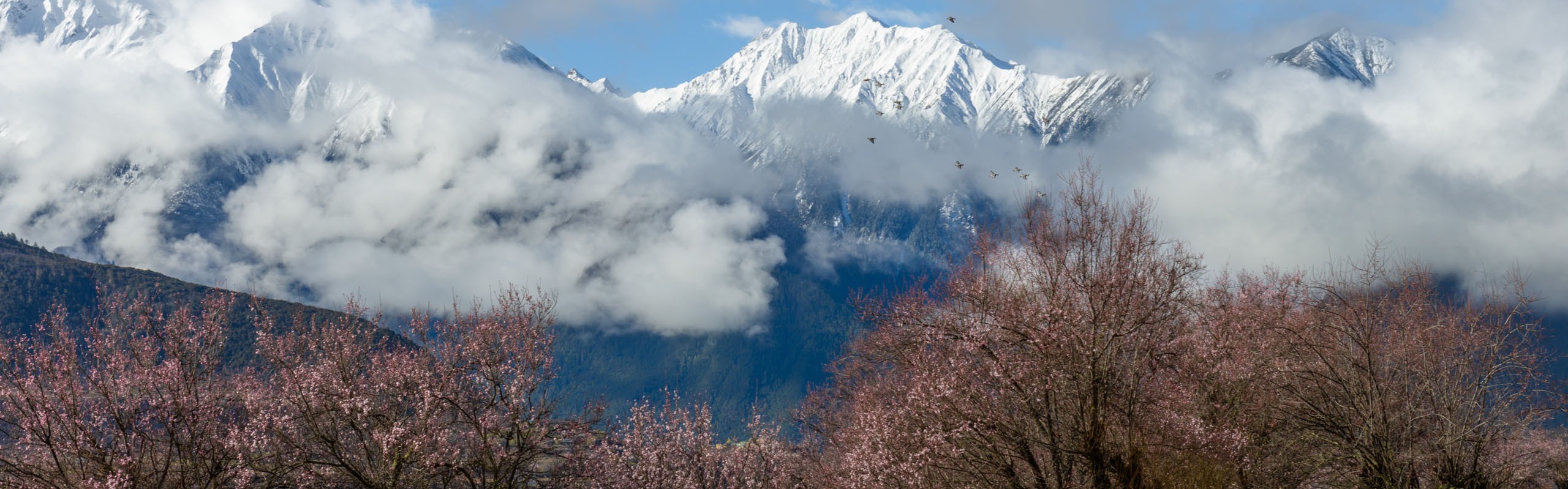 7-Day Lhasa, Nyingchi, and Bome Tour