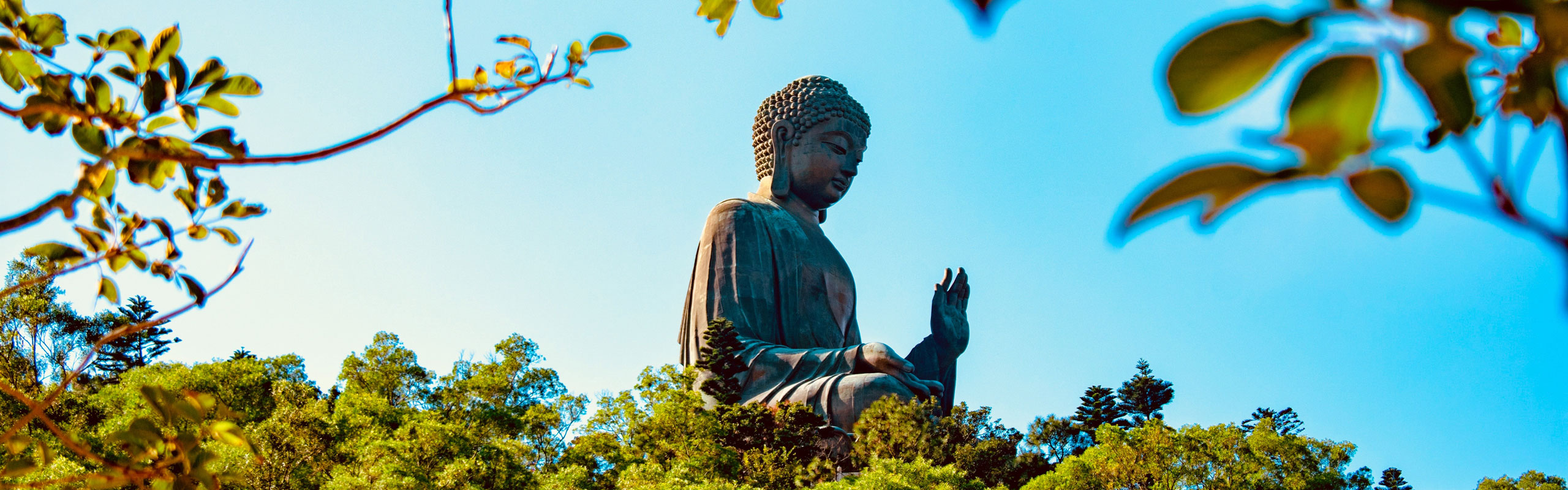 One-Day Lantau Island and Giant Buddha Tour